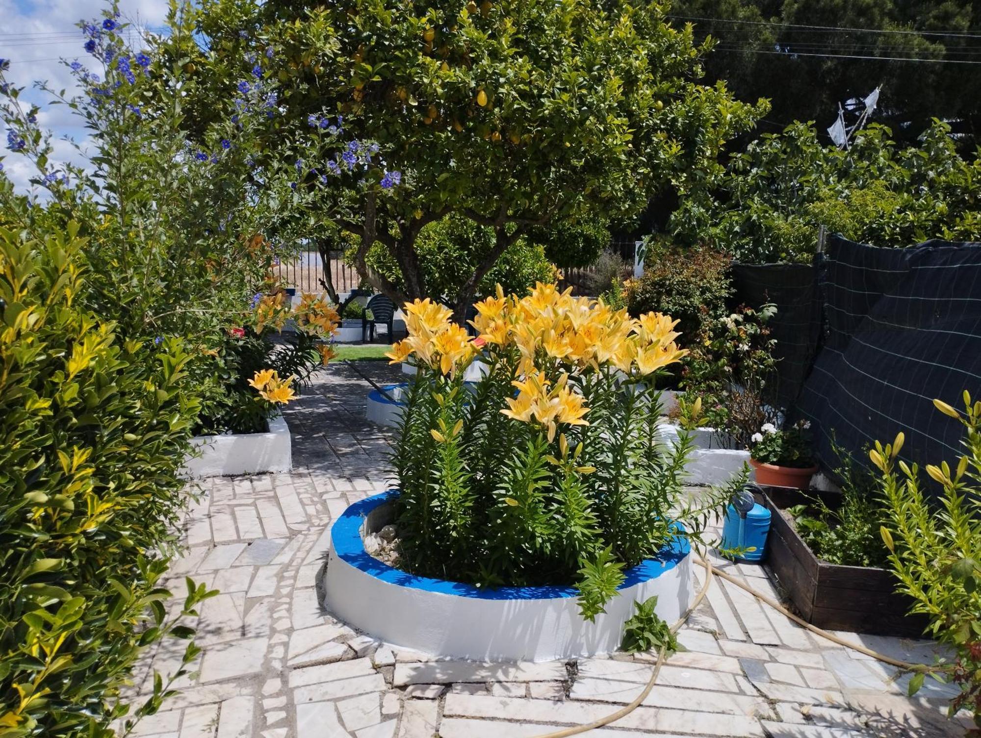 Monte Sol Nascente Villa Grândola Dış mekan fotoğraf